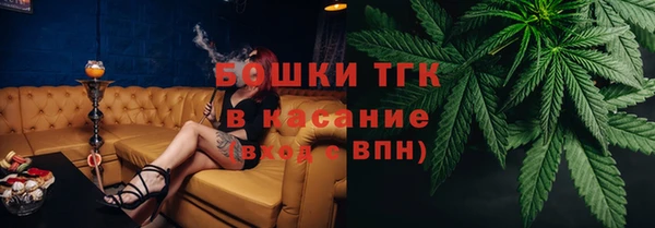 гидра Кинешма