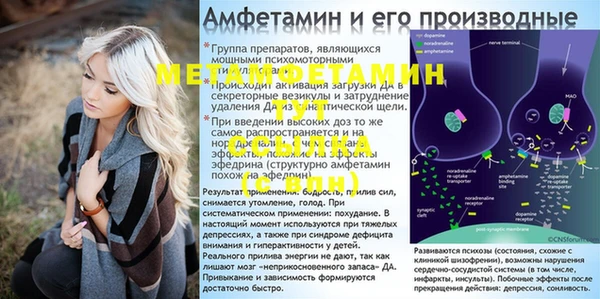 гидра Кинешма