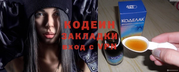 шишки Киренск