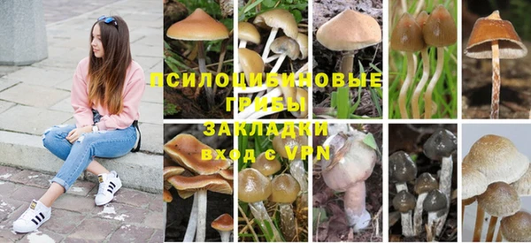 шишки Киренск