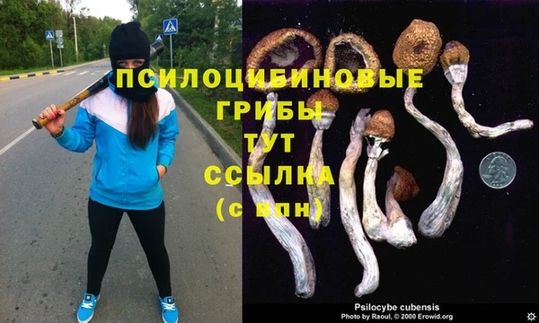 шишки Киренск