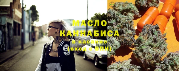 гидра Кинешма