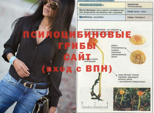 шишки Киренск