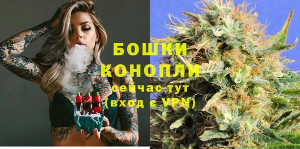 шишки Киренск