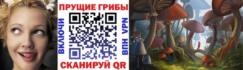 Купить закладки  Дно  Псилоцибиновые грибы ЛСД 